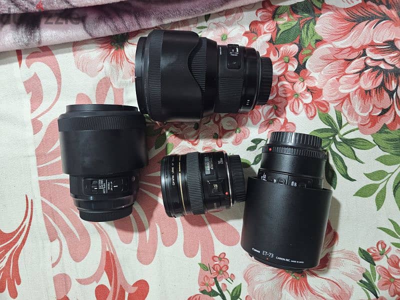 Canon and Sigma ART Lenses for sale 12