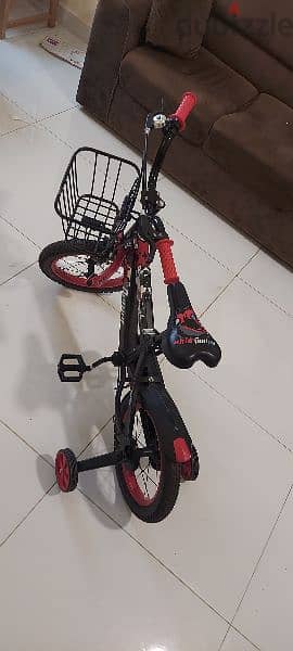 Sport cycle for Kids 0