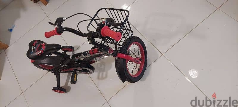 Sport cycle for Kids 1