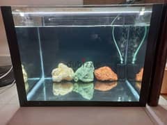 Good size Fish tank for sale