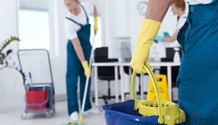 best house/office cleaning services