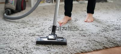 carpet shampooing cleaning services