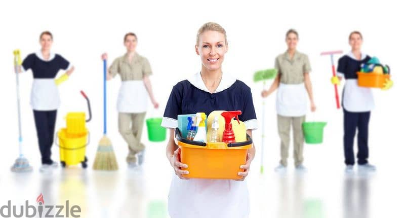 Home cleaning and office cleaning services 2