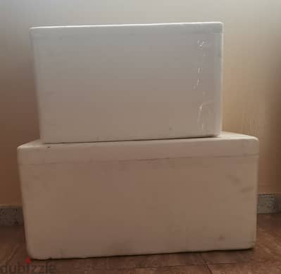 Thermocoal Box (2 nos)