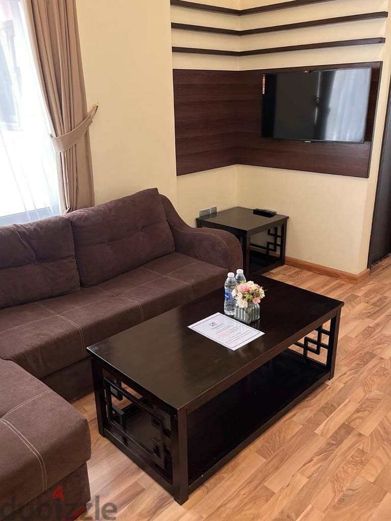 One Bedroom Apartment fully furnished (a king bed or twin bed) 9