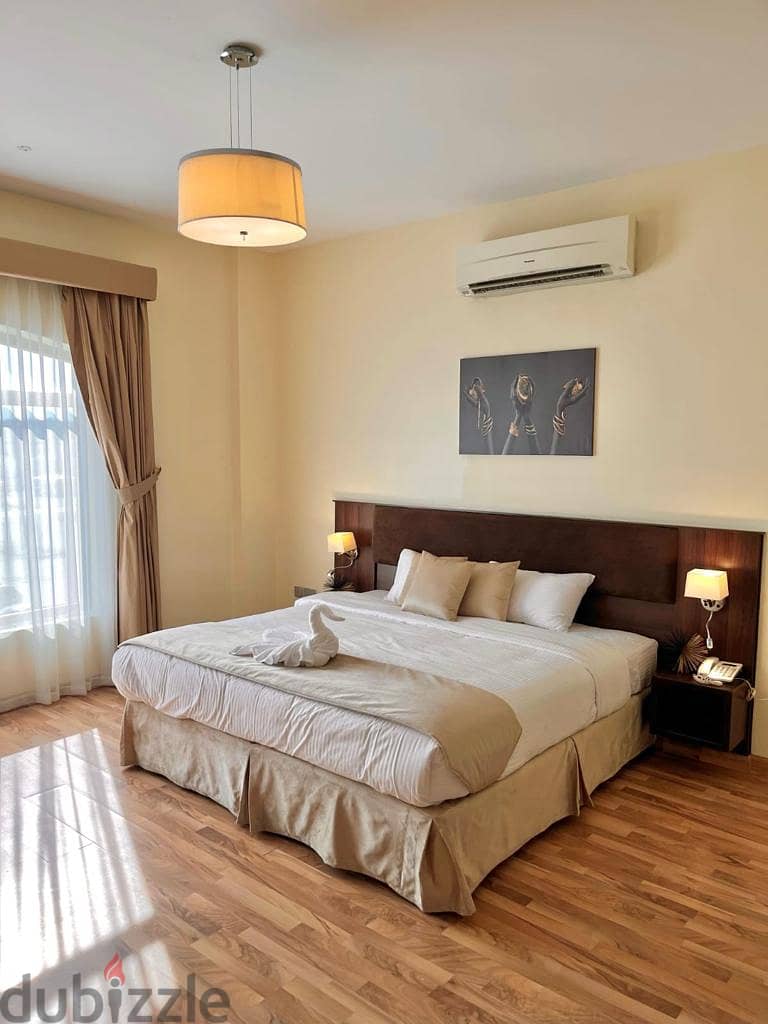One Bedroom Apartment fully furnished (a king bed or twin bed) 12