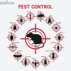 Pest control services and house cleaning