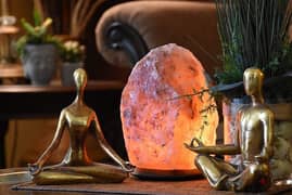 Himalayan pink salt lamp. . Delivery terms COD