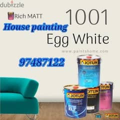 professional painting services and inside and outside