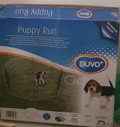 puppy run