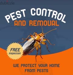 PEST CONTROL AND CLEANING SERVICES - خدمات مكافحة الحشرات والتنظيف