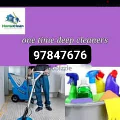Pest control and House Cleaning services, Bedbugs Insect Cockroaches 0