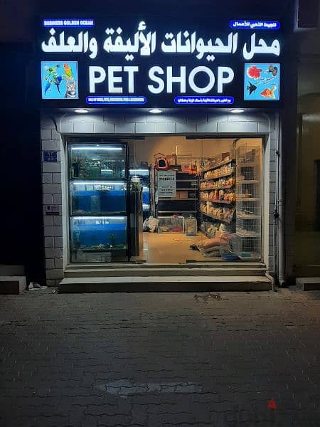 pet shop for sale or invest goubra good location. watsapp me 95286803 0