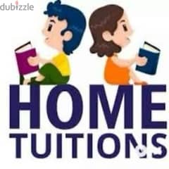female home tutor