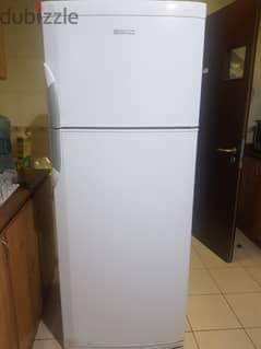 Jumbo size refrigerator for sale 0