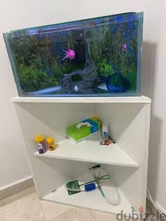 Triangle Aquarium Set with Storage stand