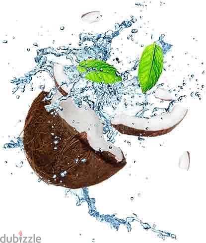 YOYO 100% Coconut Water with Pulp, No Sugar Added, 10.5 fl oz 1
