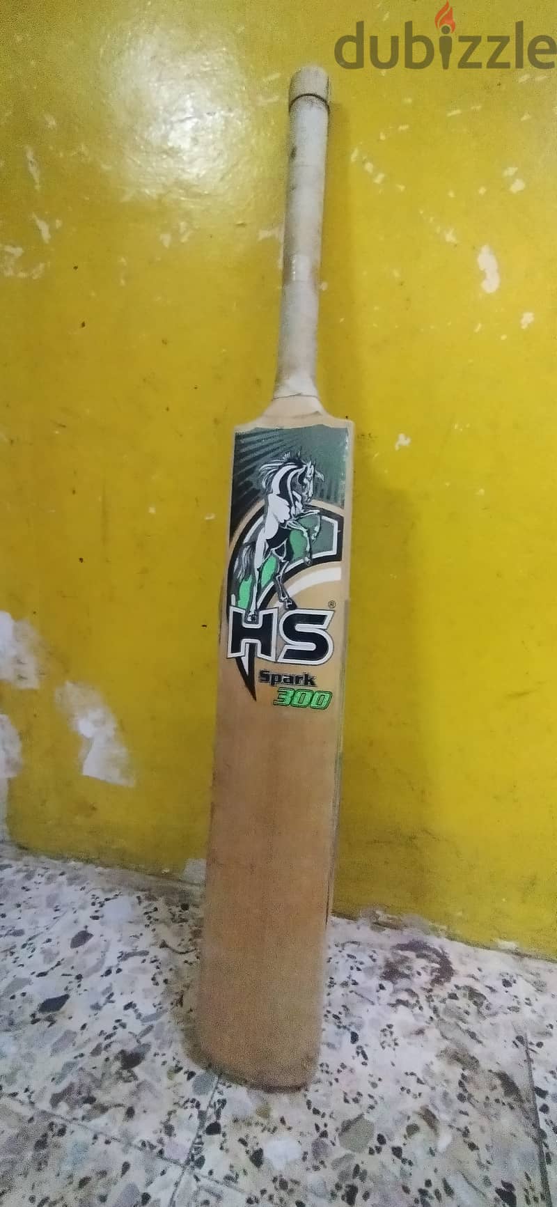 Cricket bat (HS) 2