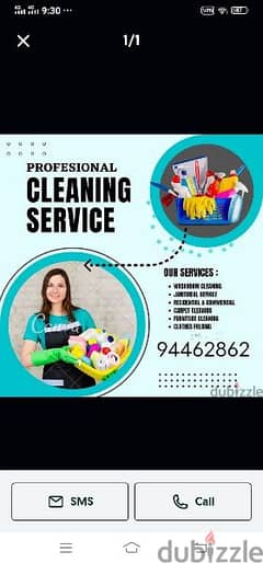 professional cleaning cleaner