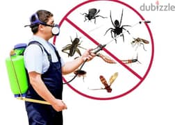 Pest control services and house cleaning up