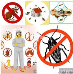 General pest control services and house cleaning