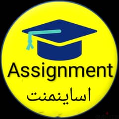 Assignment Writing Services 0