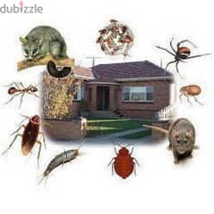 Pest control services and house