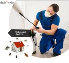 we provide you the best pest control services 94491391