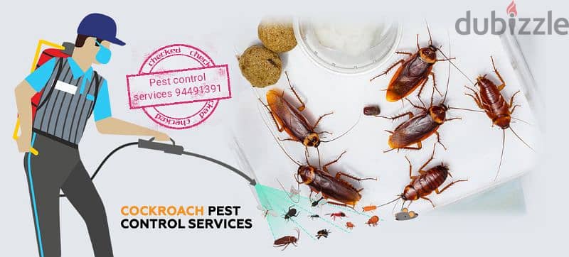 we provide you the best pest control services 94491391 4