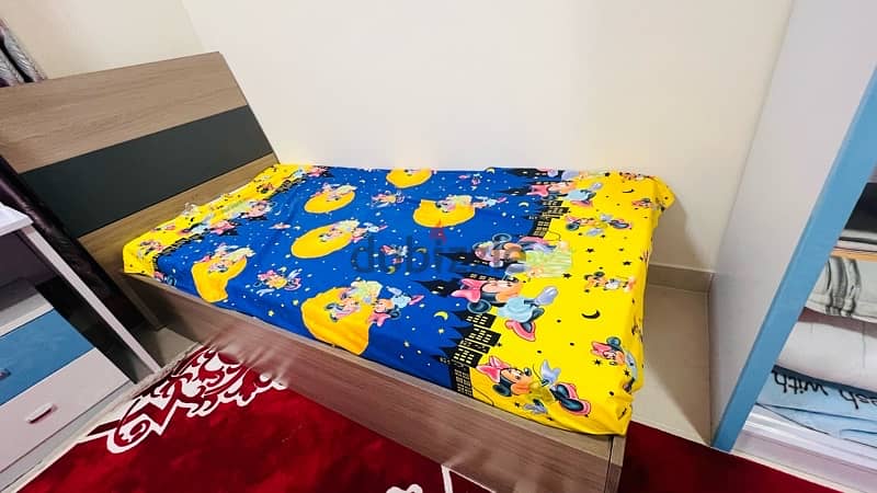 Single box bed 2