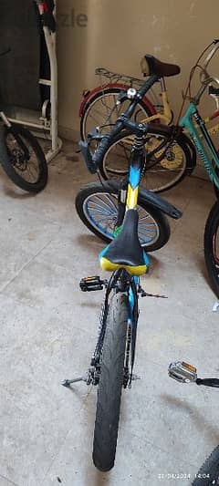 20inches cycle