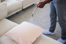 sofa cleaning services 0