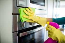 best house /office cleaning services