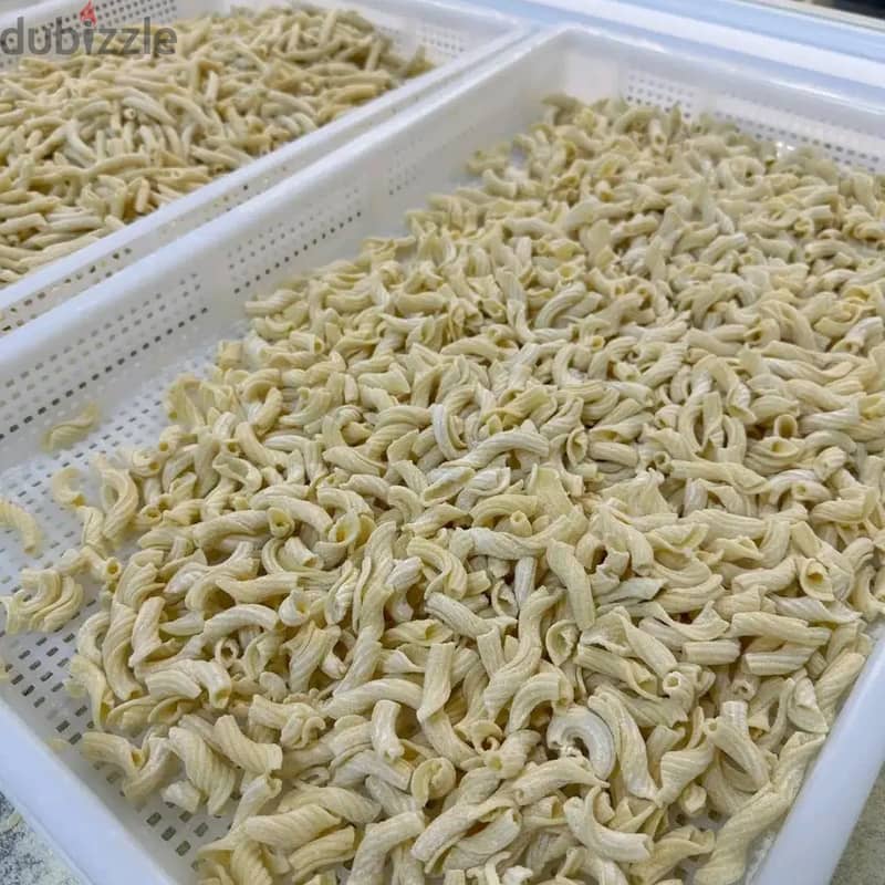 Supplier of homemade pasta 1