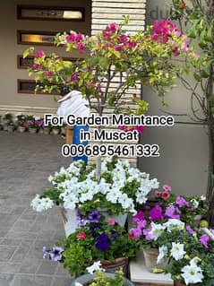 Plants and Tree-cutting Artificial Grass Stones Soil Fertilizer availa