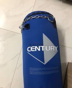 original century boxing bag and gloves for sale