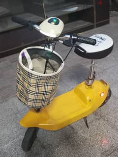 electric scooter with keys