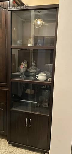display cabinet with closed storage at the bottom
