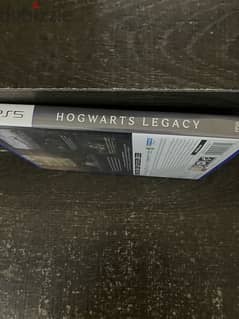 Hogwarts Leagcy