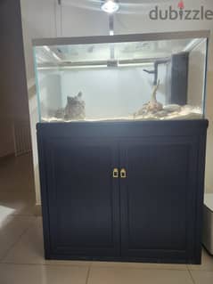 Yee Fish Tank 250 Litres with Integrated sump filtration system