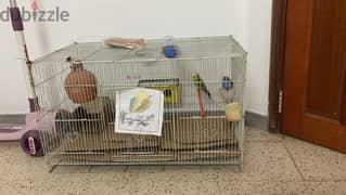one parrot with big cage and two nest
