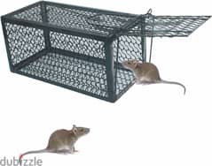 New Mouse Trap 0