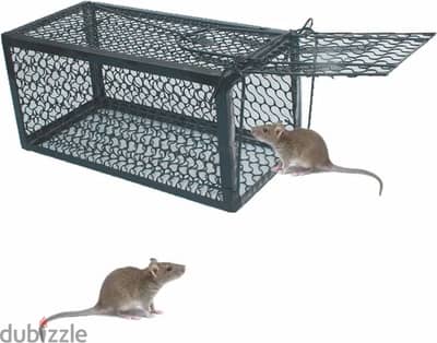 New Mouse Trap