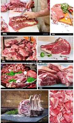 Butcher from indian with medical 79049145 what's app