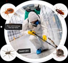we provide you the best pest control services