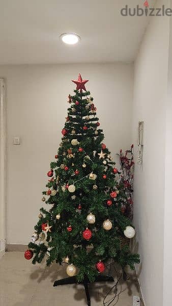 Christmas Tree Xmas 1