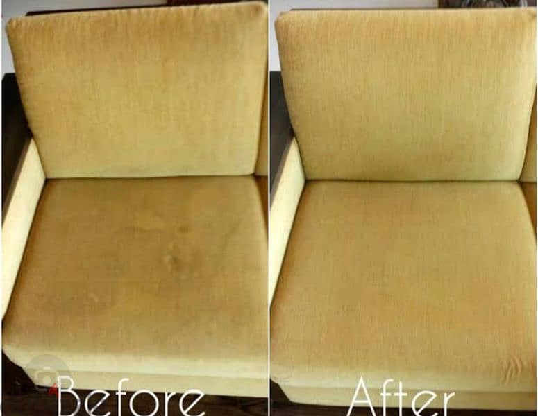sofa carpet cleaning and shampooing cleaning services 0
