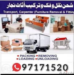 the mover packer transport service