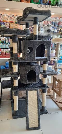 CAT PLAYING TOWER