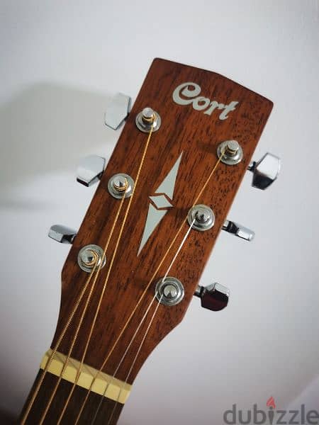 Cort acoustic guitar 1